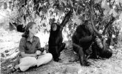 Jane Goodall