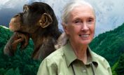 Jane Goodall