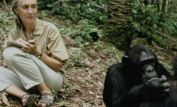 Jane Goodall