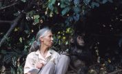 Jane Goodall