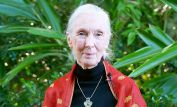 Jane Goodall