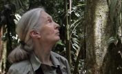 Jane Goodall