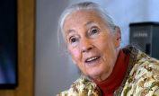 Jane Goodall