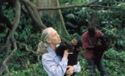 Jane Goodall