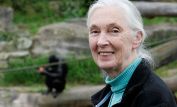 Jane Goodall