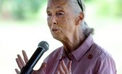 Jane Goodall