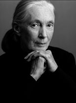 Jane Goodall
