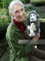 Jane Goodall