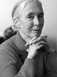 Jane Goodall