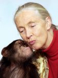 Jane Goodall