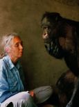 Jane Goodall