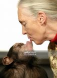 Jane Goodall