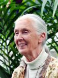 Jane Goodall