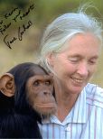 Jane Goodall