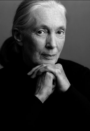 Jane Goodall