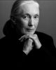 Jane Goodall