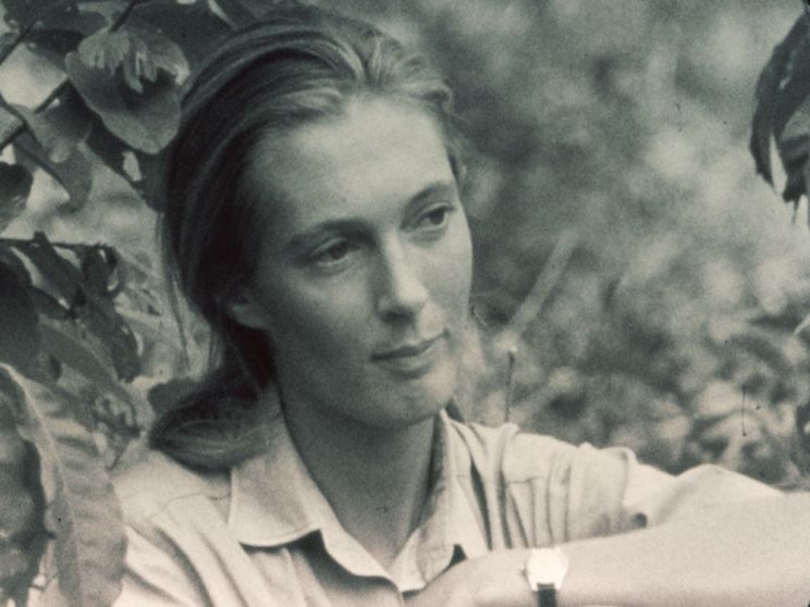 Jane Goodall