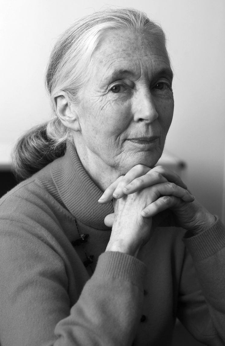 Jane Goodall