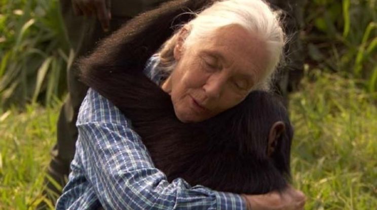 Jane Goodall