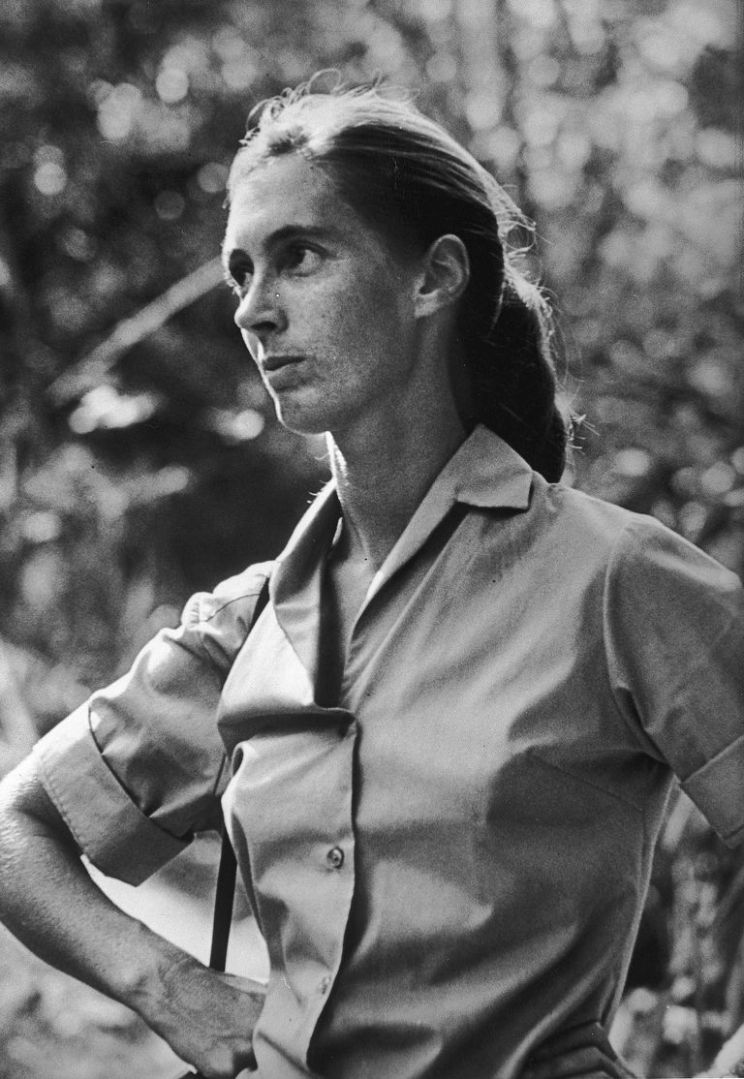 Jane Goodall