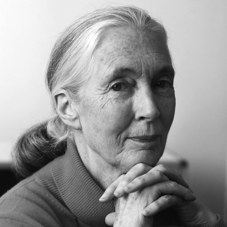 Jane Goodall