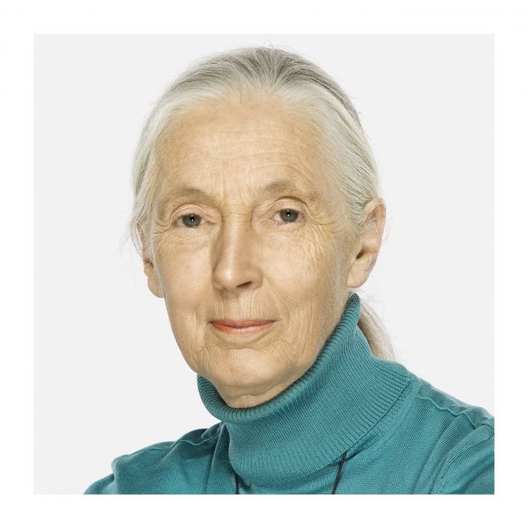 Jane Goodall