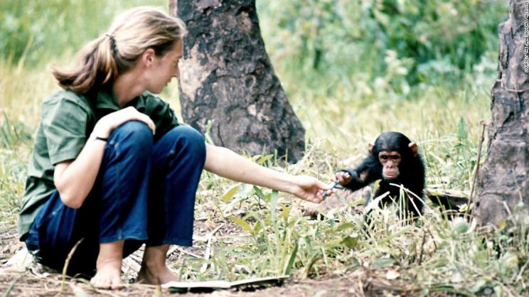 Jane Goodall