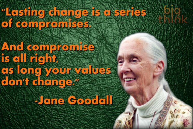 Jane Goodall