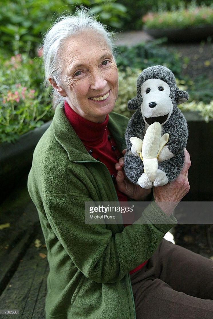 Jane Goodall