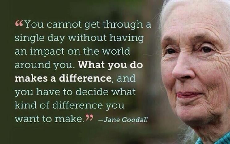 Jane Goodall