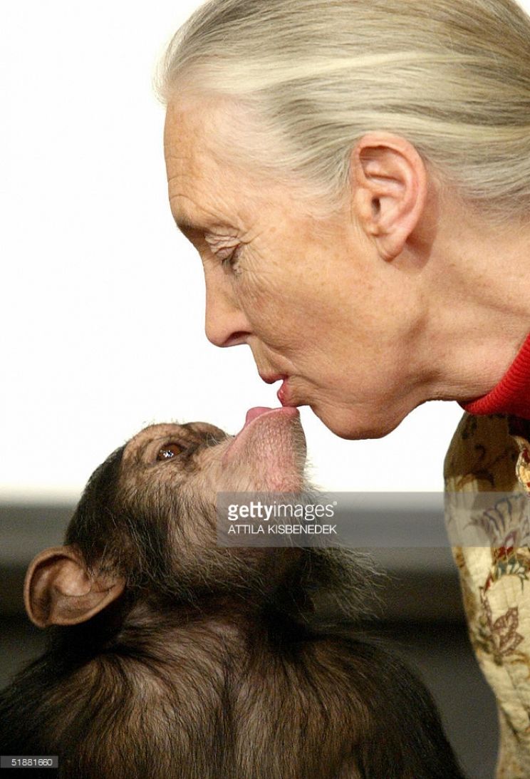 Jane Goodall