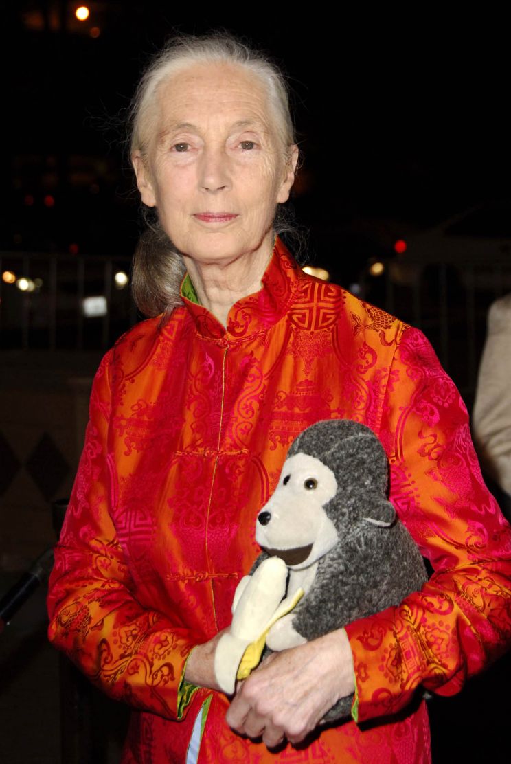 Jane Goodall