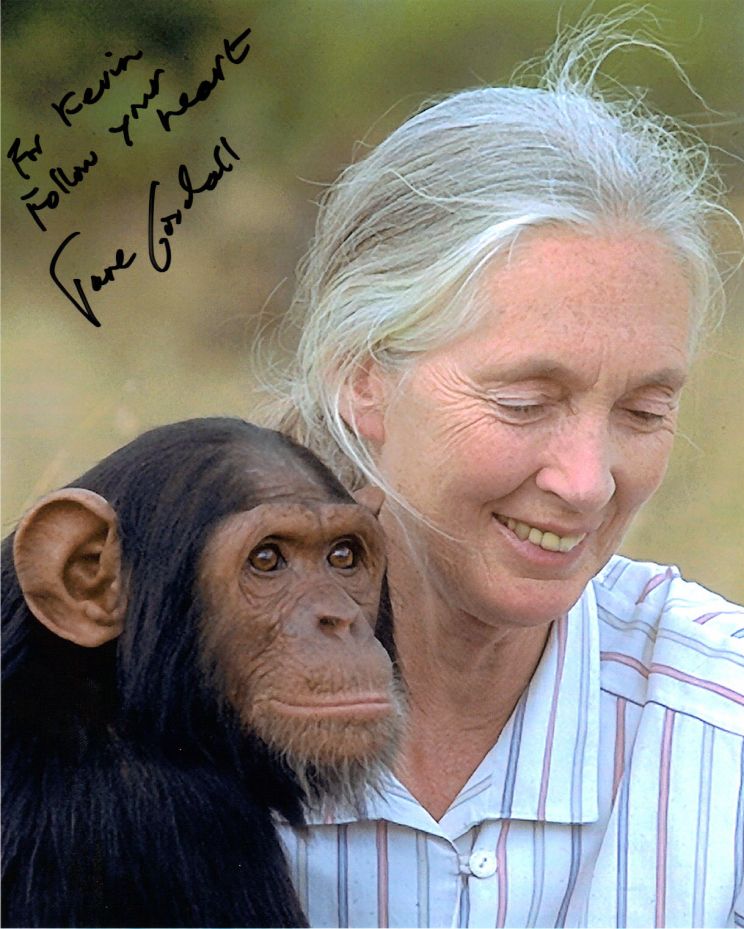 Jane Goodall