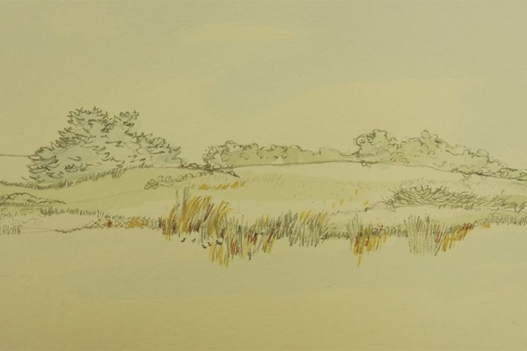 Jane Hylton