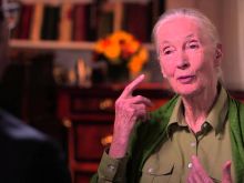 Jane Oliver