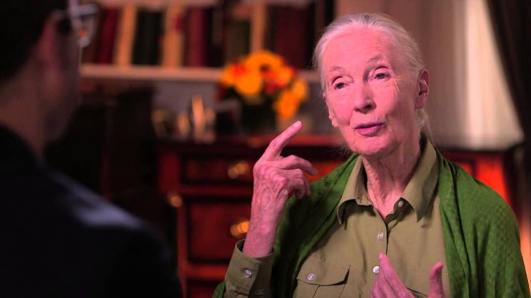 Jane Oliver