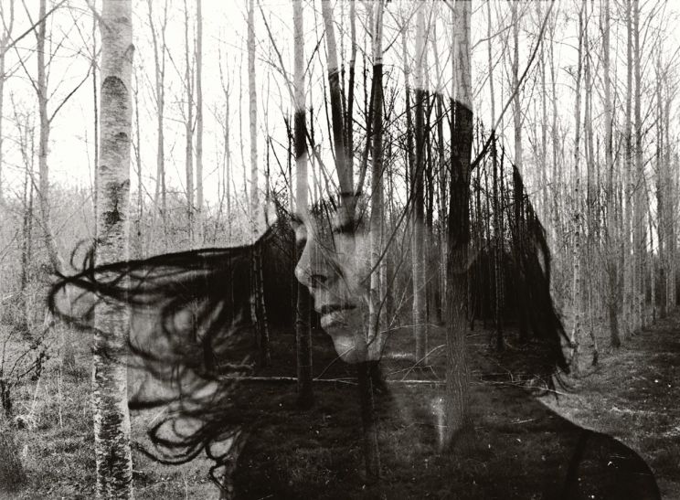 Jane Wood