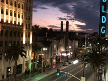 Janell Cox #2987701 picture (Landscape Medium)