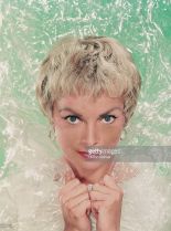 Janet Leigh #240680 picture (Portrait Medium)