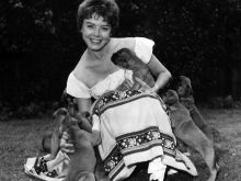 Janet Munro