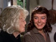 Janet Munro photo