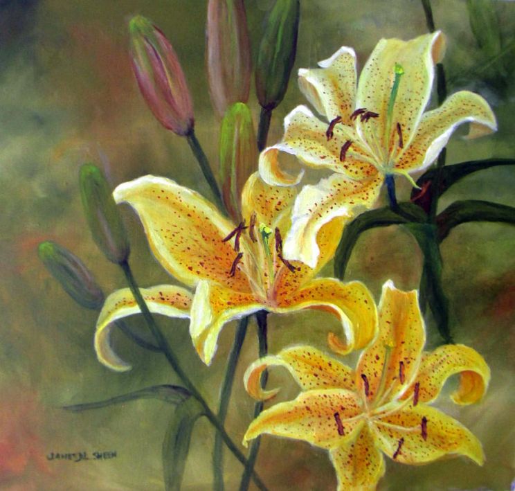 Janet Sheen