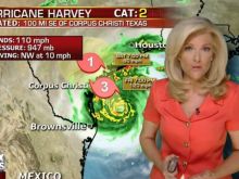 Janice Dean
