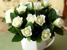 Jasmin
