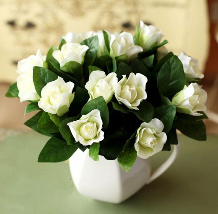 Jasmin