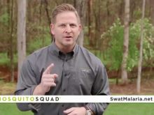 Jason Cameron #3785406 picture (Landscape Medium)