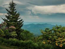 Jason Clemmons #3871007 picture (Landscape Medium)