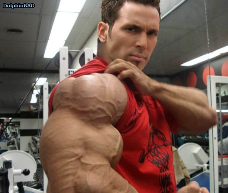 Jason David Frank