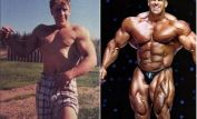 Jay Cutler