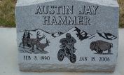 Jay Hammer